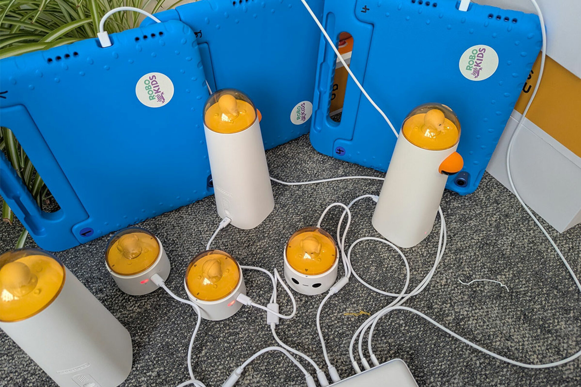 Mehrere weiße zylindrische Roboter mit orangefarbenen Oberteilen sind mit Kabeln verbunden und stehen vor drei blauen Tablethüllen mit Aufklebern 'Robo Kids' auf einem grauen Teppichboden.