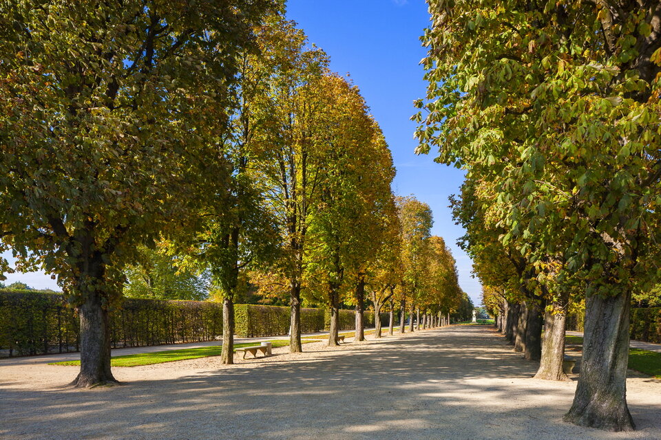 Kastanienallee
