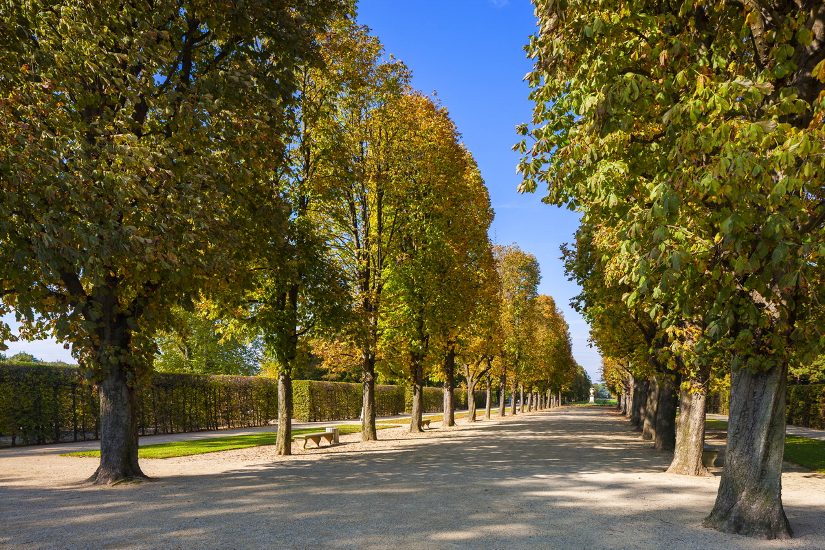 Kastanienallee